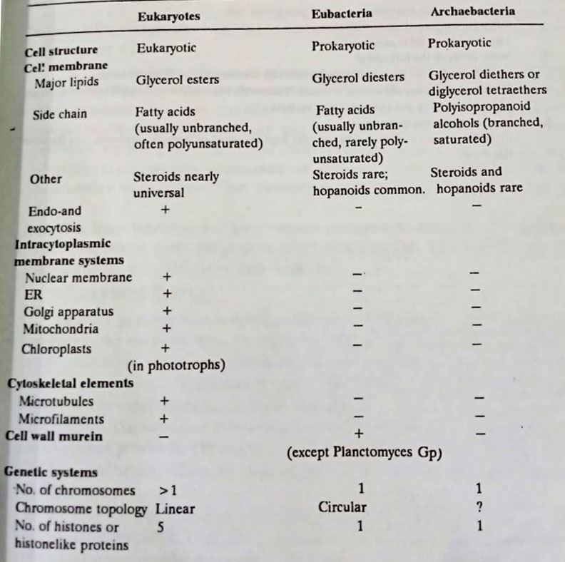 BSc Structure of Microorganisms in Microbiology
